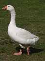 BUGA Schwerin   124
